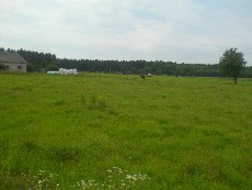 Wycieczka