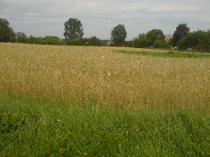 Wycieczka