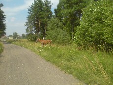 Wycieczka
