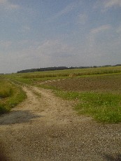 Wycieczka