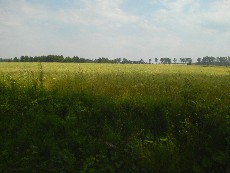 Wycieczka