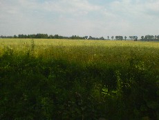 Wycieczka