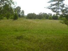 Wycieczka