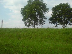 Wycieczka